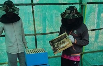 Rural Development